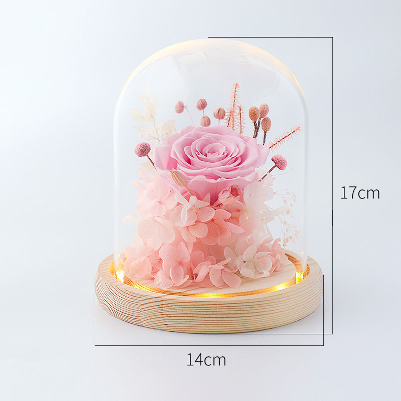 蔷薇花开 精致进口永生花礼品·玻璃罩-粉色
