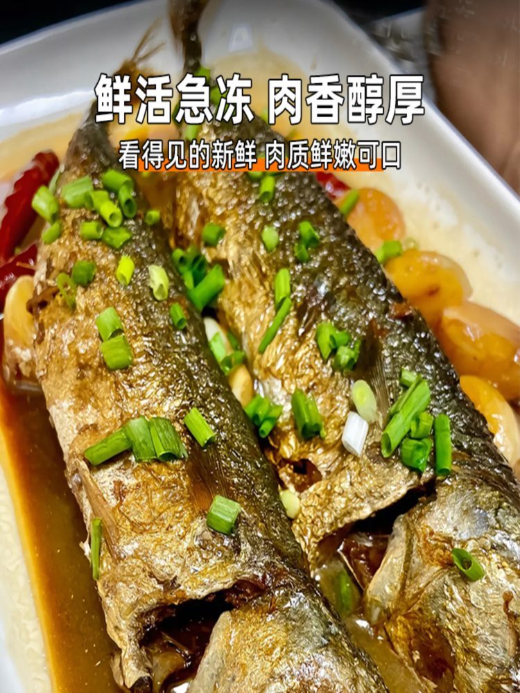 【顺丰速运】无冰大号青占鱼 4斤 鲐鲅鱼 青鱼新鲜冷冻 青花鱼 鲅鱼马