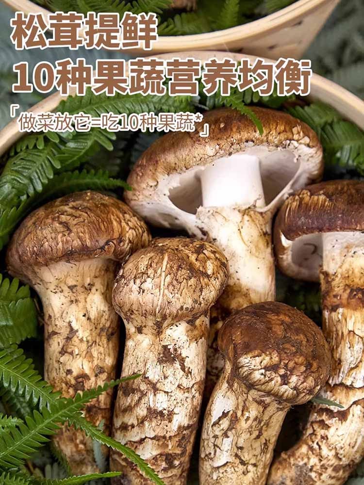 松鲜鲜（O添加）松茸调味料100g*3罐（加送35g袋装*3袋）