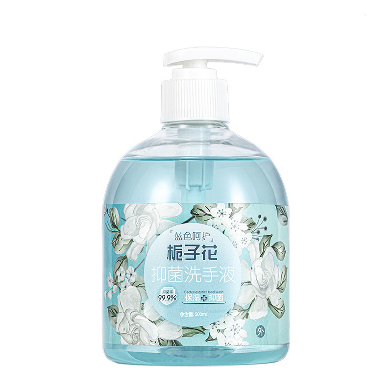 蓝色呵护花香洗手液家用香水级香芬清洁温和保湿500ml*6瓶花香混搭