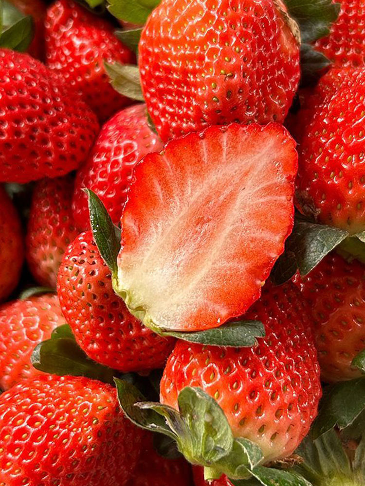 顺丰 山东奶油草莓大果【18-25g】·3斤