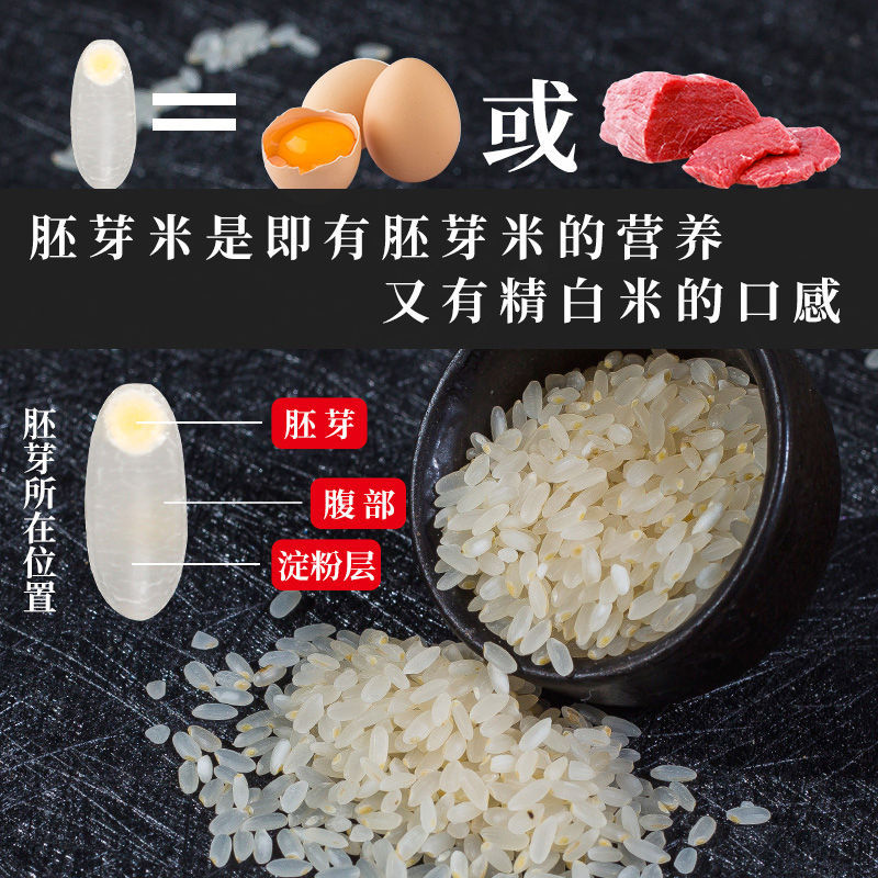 2袋稻宝昌 新米生态营养胚芽米东北大米5斤真空包邮·1