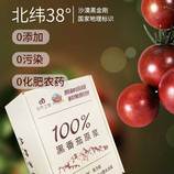 自然之臻黑番茄原浆