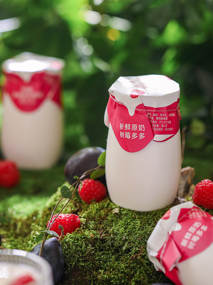 【有山有水】新疆0 添加剂树莓多多/稀梅酸奶180g*12罐