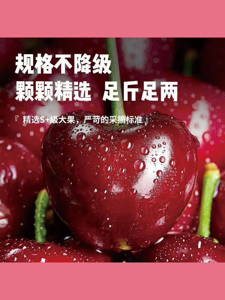 大连美早樱桃车厘子当季水果大樱桃果园直发2.25千克