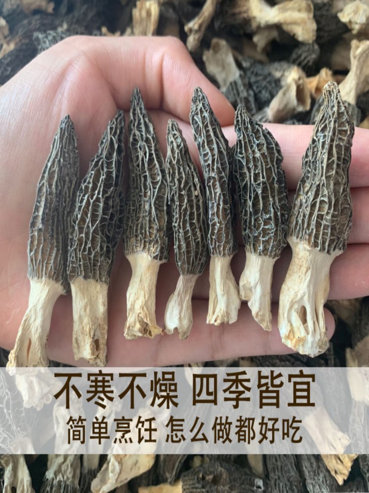 小号羊肚菌 5包 16-17根 3-4cm/根 香格里拉非野生 新鲜菌菇煲汤干货食材