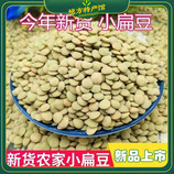 共同