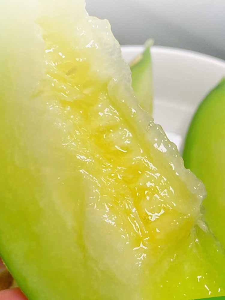 【净重8-8.5斤】山东网纹瓜  香甜多汁 果肉绵软 新鲜水果