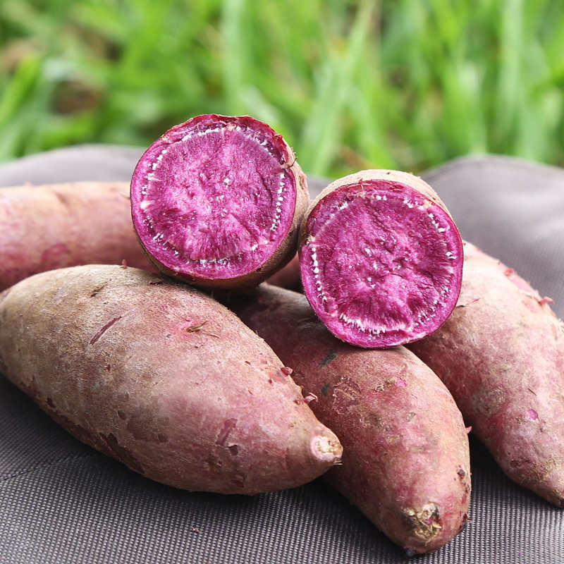 新鲜现挖小紫薯5斤，粉糯绵密，薯香浓郁，健康粗粮
