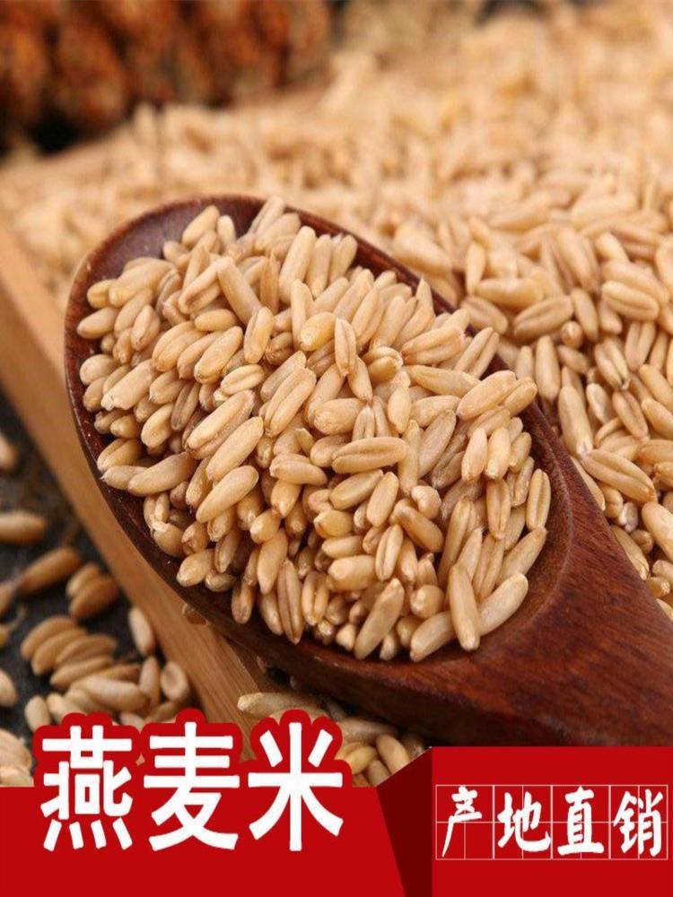 燕麦米 5斤 自产燕麦仁麦香味浓燕麦粒燕麦米