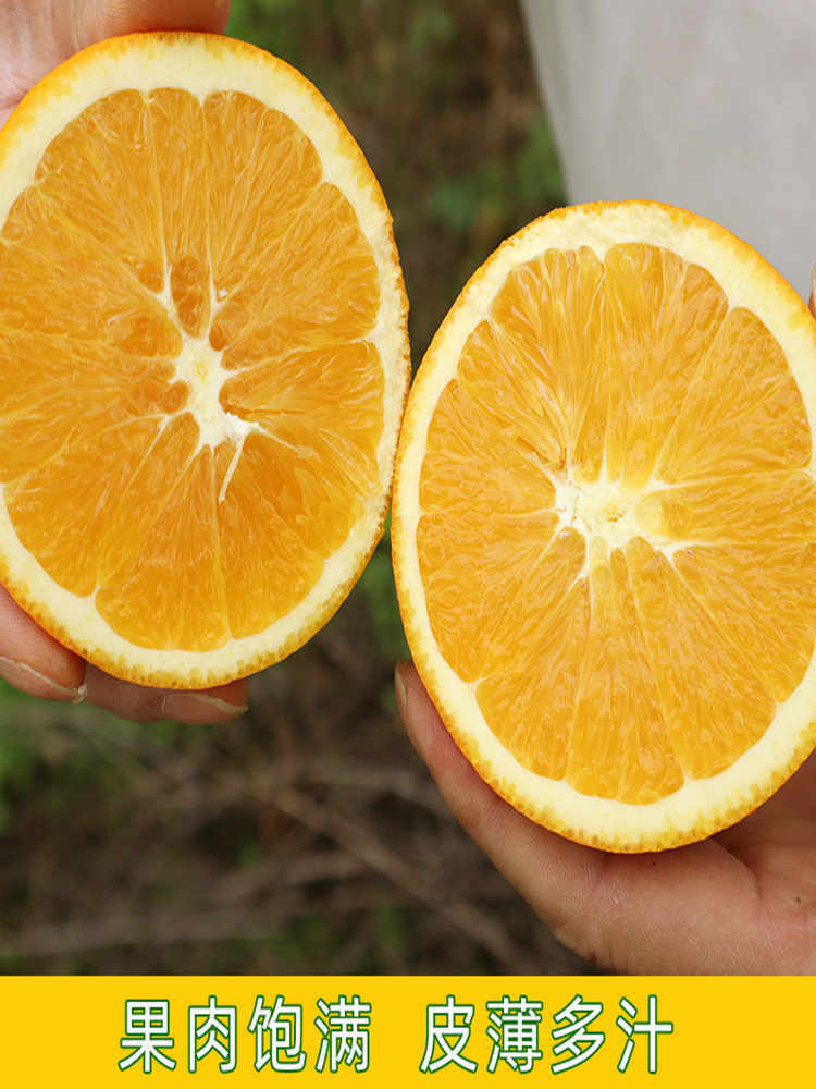 【绿色食品】湖南石门纽荷尔脐橙新鲜水果整箱净重9斤