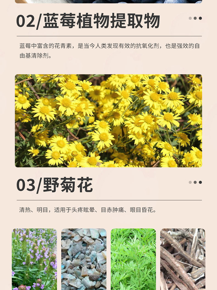 南京同仁堂·蓝莓叶黄素眼贴2贴*10袋*5盒