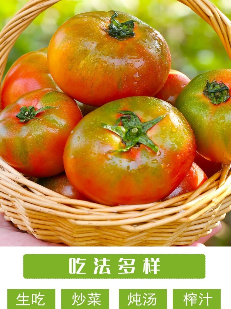 【辽宁产地】顺丰发货5斤装铁皮西红柿