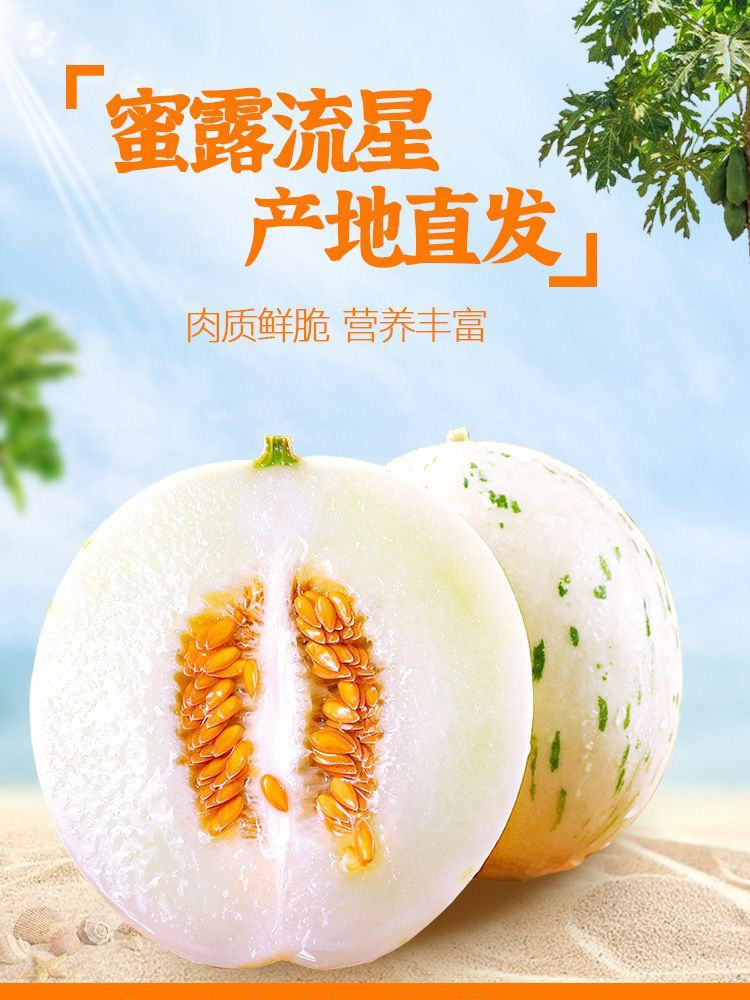 山东蜜露流星甜瓜· 净重4.5-5斤【2个】