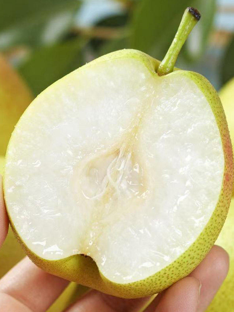 【京航严选】玉露香梨【单果75mm+】·净重3斤