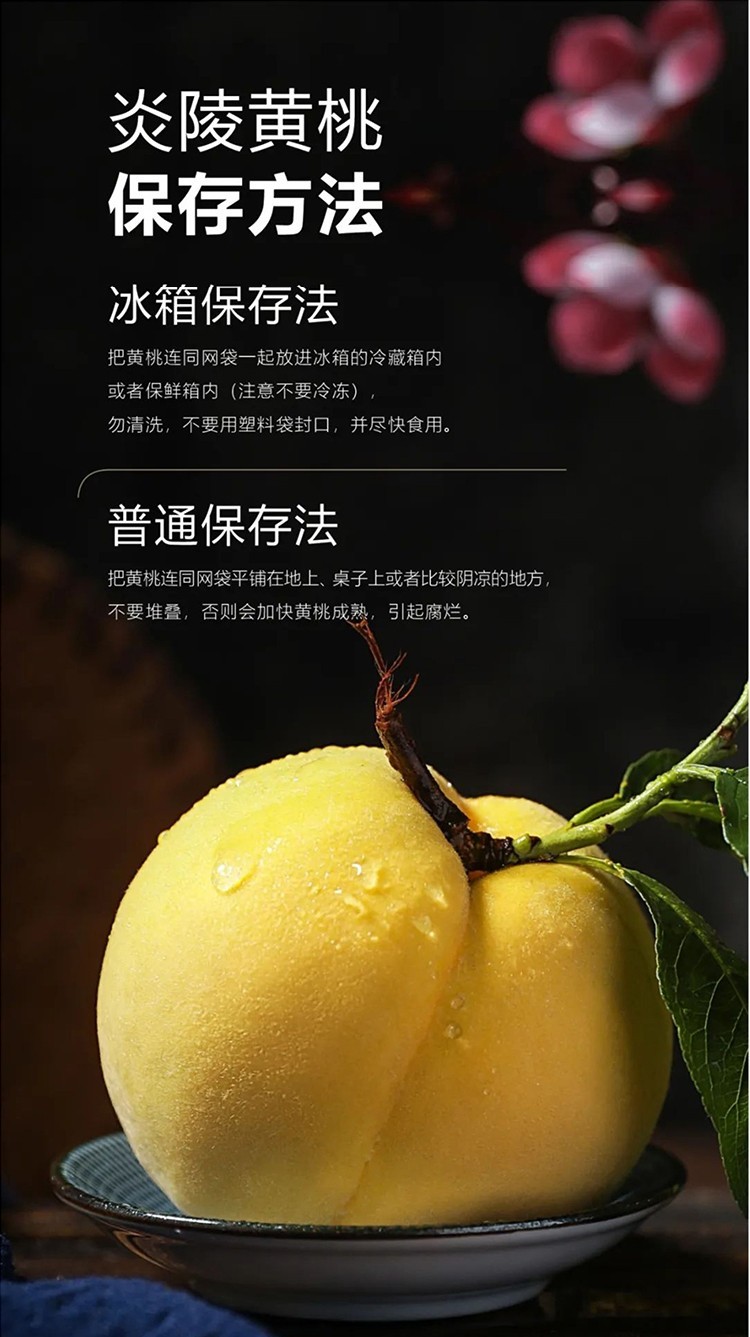 【源头生鲜水果】正宗炎陵黄桃高山金凤黄桃5斤装新鲜现摘现发·天然