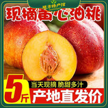 共同