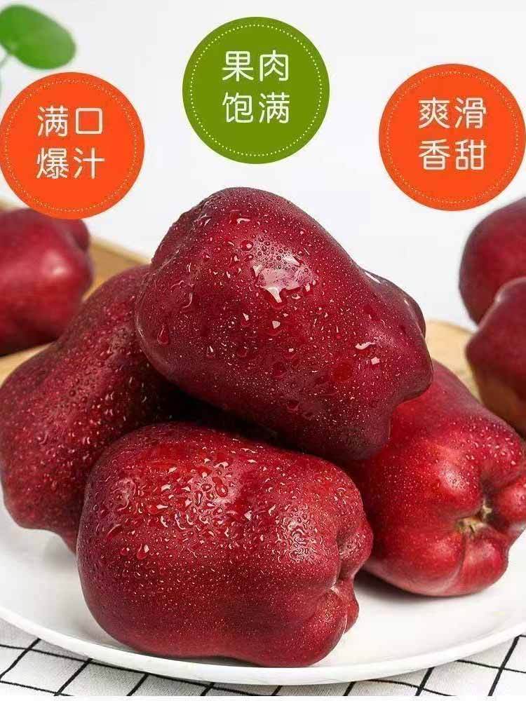 【到手净重8.5斤以上 升级发85-90大果】甘肃-天水精品花牛果（80-85mm）