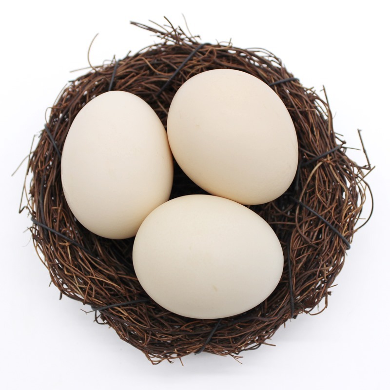 【家乡特产】农家养土鸡蛋约45g—49g*30枚
