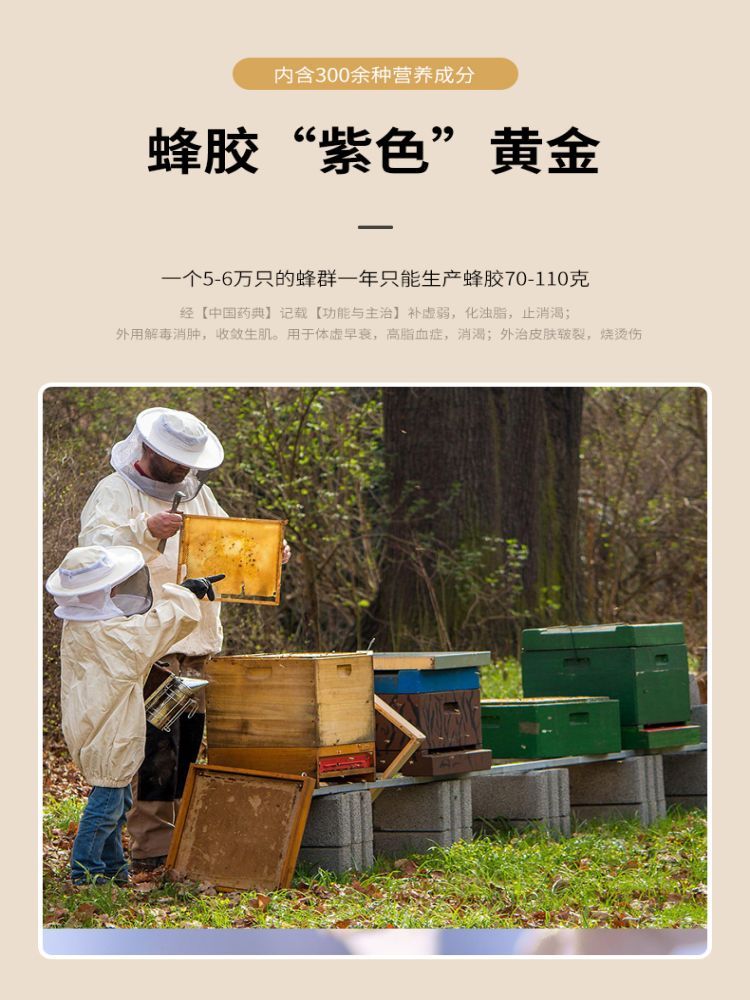 老山蜂胶液超值组送新疆成熟蜜
