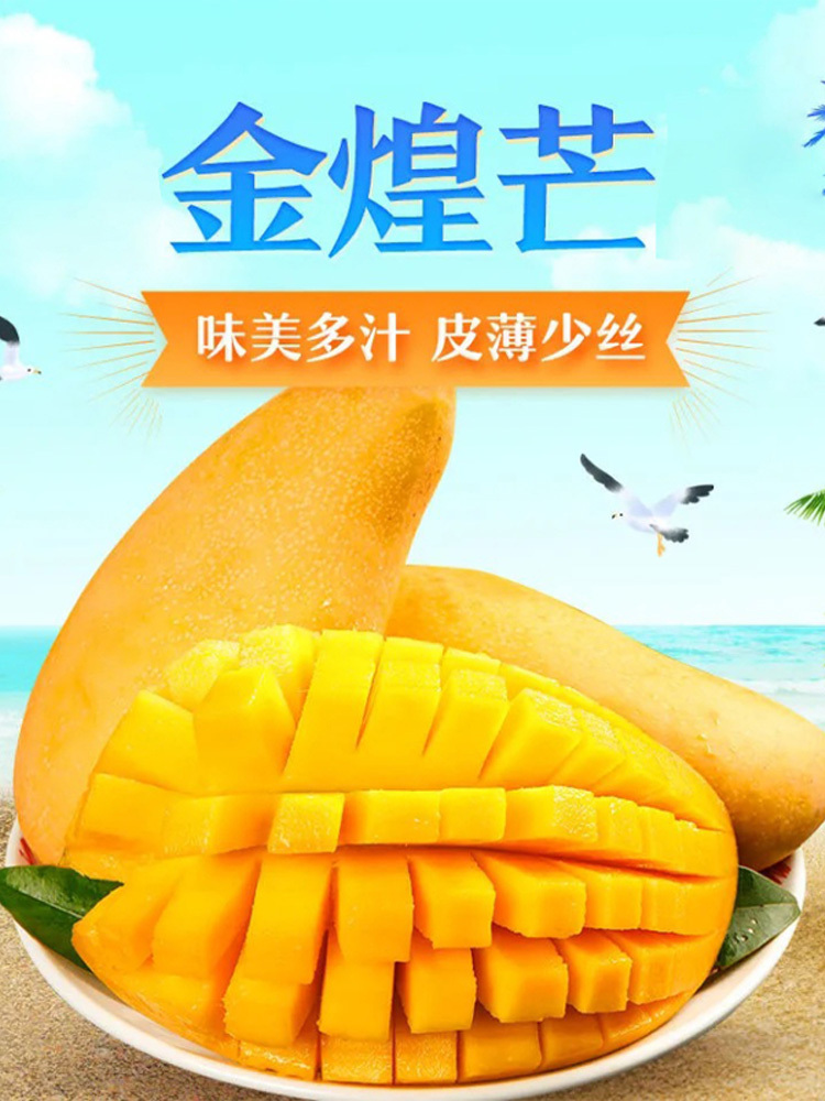 海南金煌芒【广西仓】·带箱5斤中果【单果250-400g】