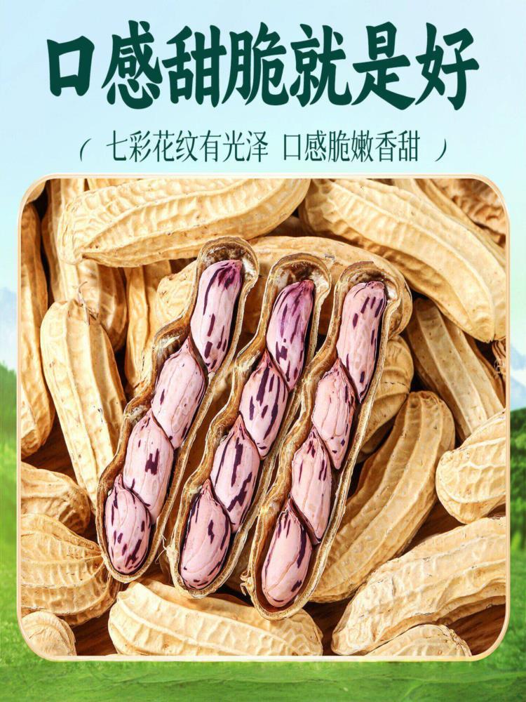 云南带壳熟七彩花生 250克*2包 新货特产种子晒咸干