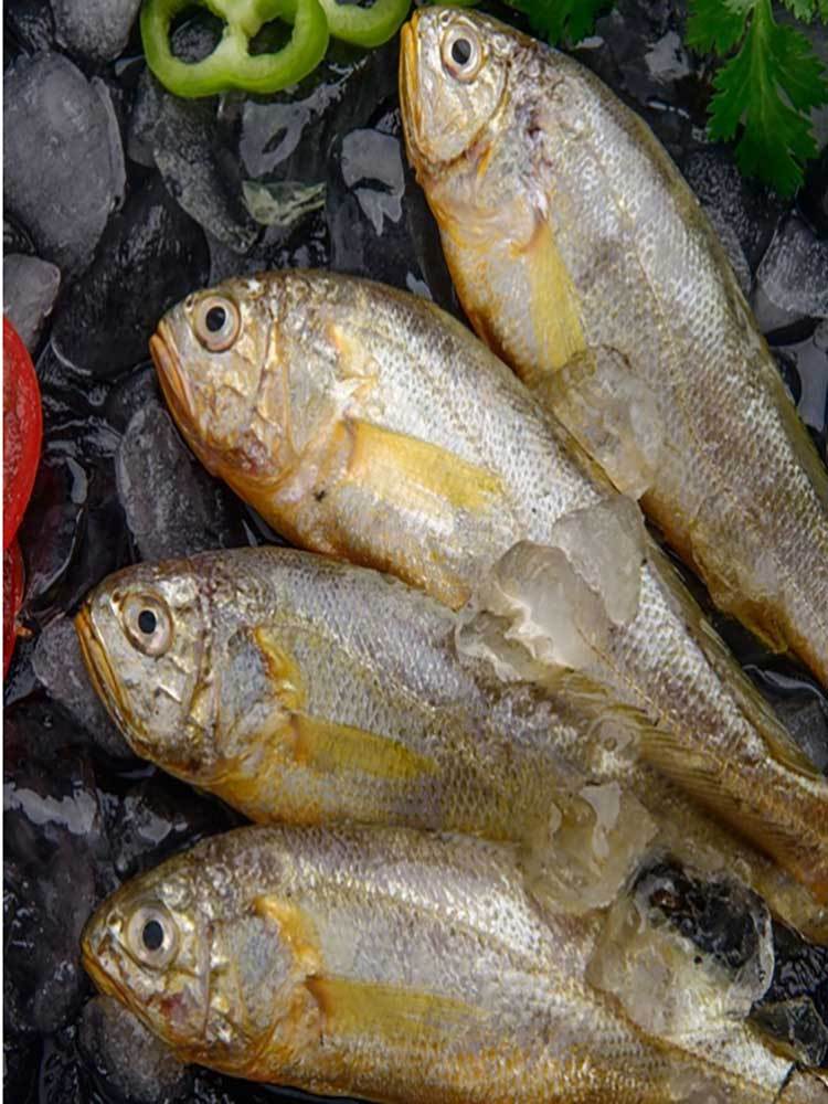 黄花鱼水饺400g*5袋