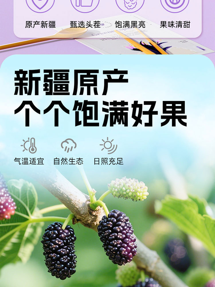一品玉新疆黑桑葚干100g*5袋