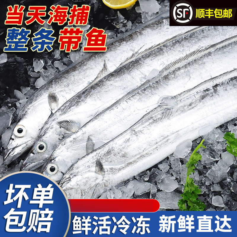 【顺丰包邮】4斤新鲜捕捞深海整条带鱼（150-200g）