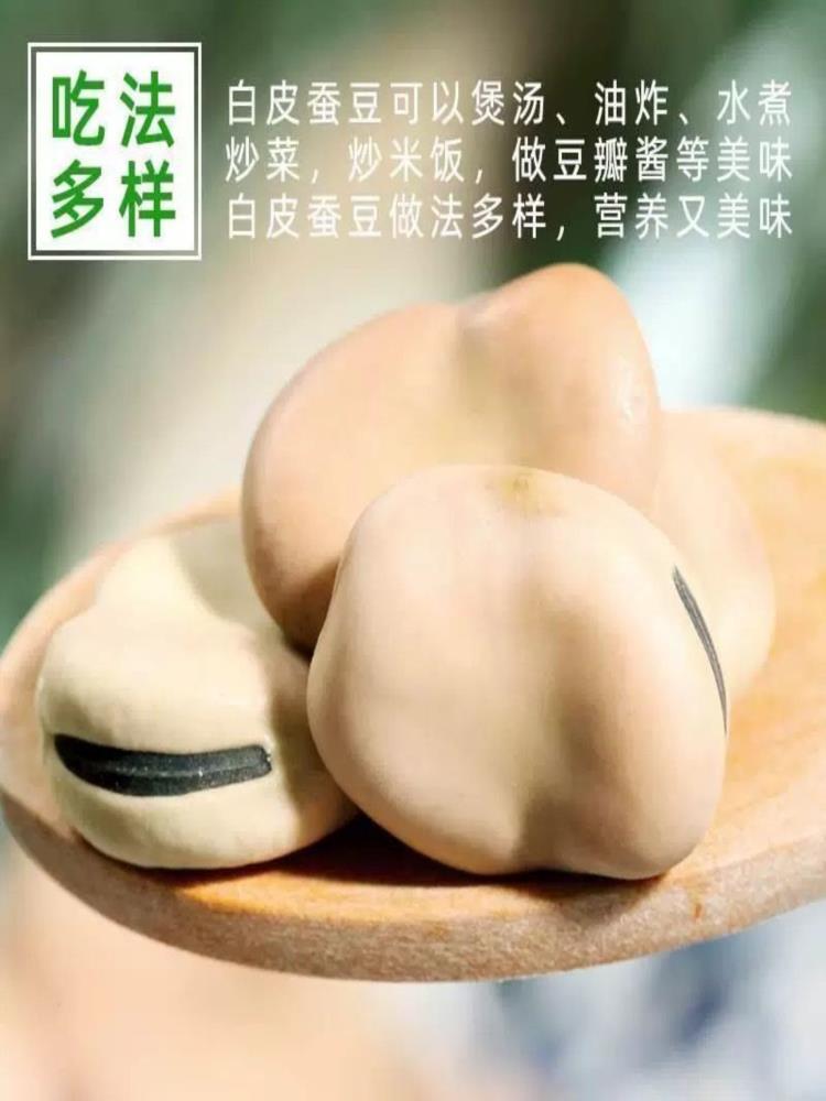 新货云南生白蚕豆 3斤 青皮生蚕豆干货杂粮 罗汉豆胡豆