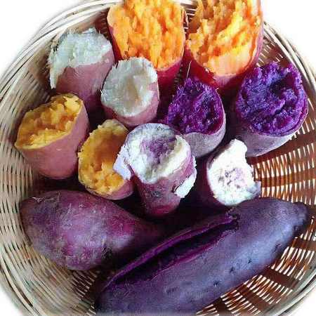 广东三色番薯中果5斤(100g )