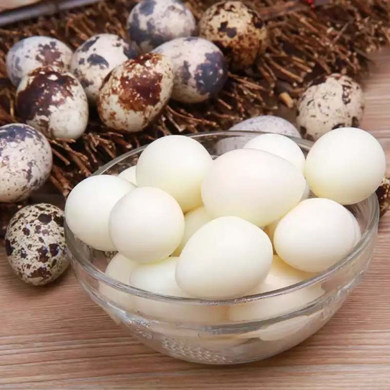 新鲜农家鹌鹑蛋35枚优惠装  