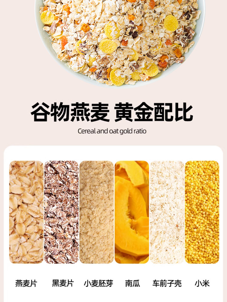 新势力 奇亚籽南瓜小米燕麦片 1000g*1罐