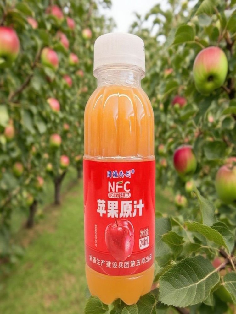 【25年10月生产】新疆NFC苹果汁 248ml*10瓶 鲜果鲜榨无添加