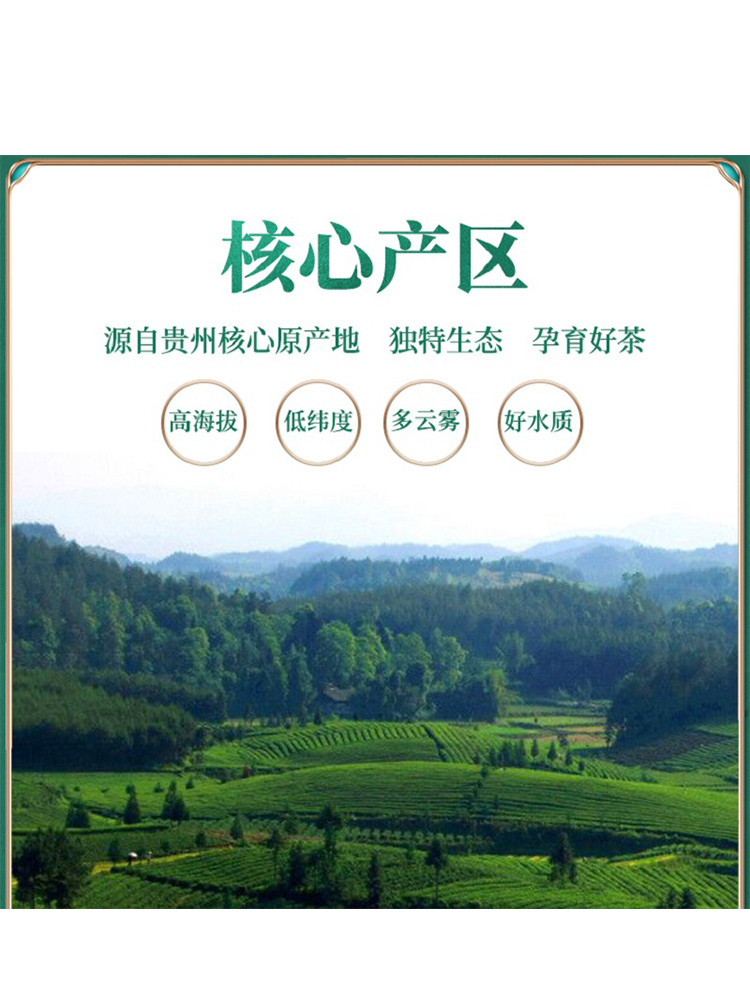绿茶茶包贵州绿宝石绿茶一级三角立体小包茶60g