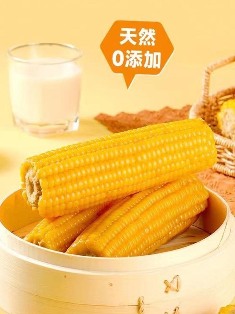 【到手20根】2025新东北黄糯玉米单根金铝箔包装260-300克 香甜软糯