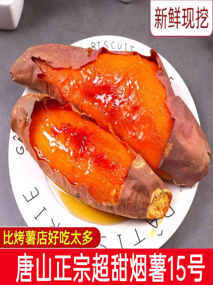 唐山-烟薯25号（中大果） 9斤左右【唐山烟薯有赛蜂蜜称号·流心甜】