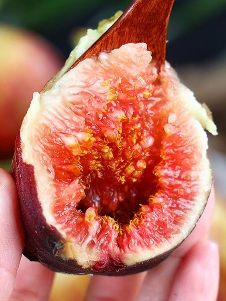 顺丰 云南无花果【40-80g】·净重3斤