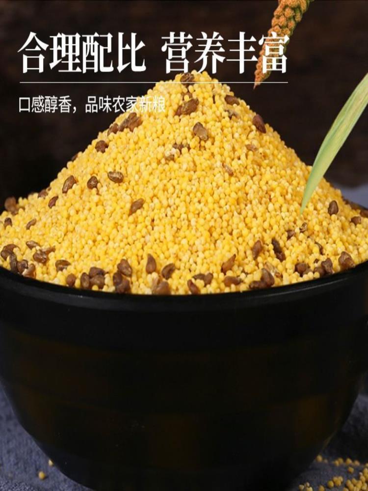 苦荞小米 250g*7包 黄小米油小米糯小米优选米苦荞加小米