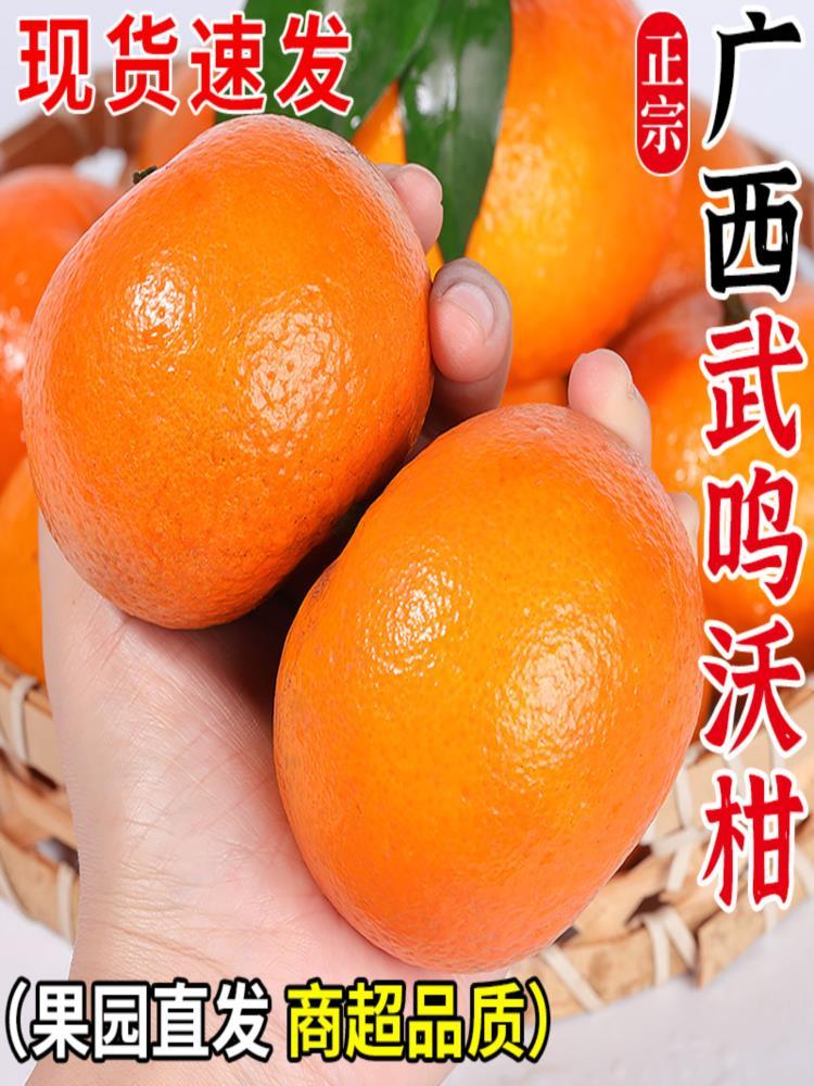 广西武鸣沃柑 9斤 单果65mm+ 生鲜桔子水果