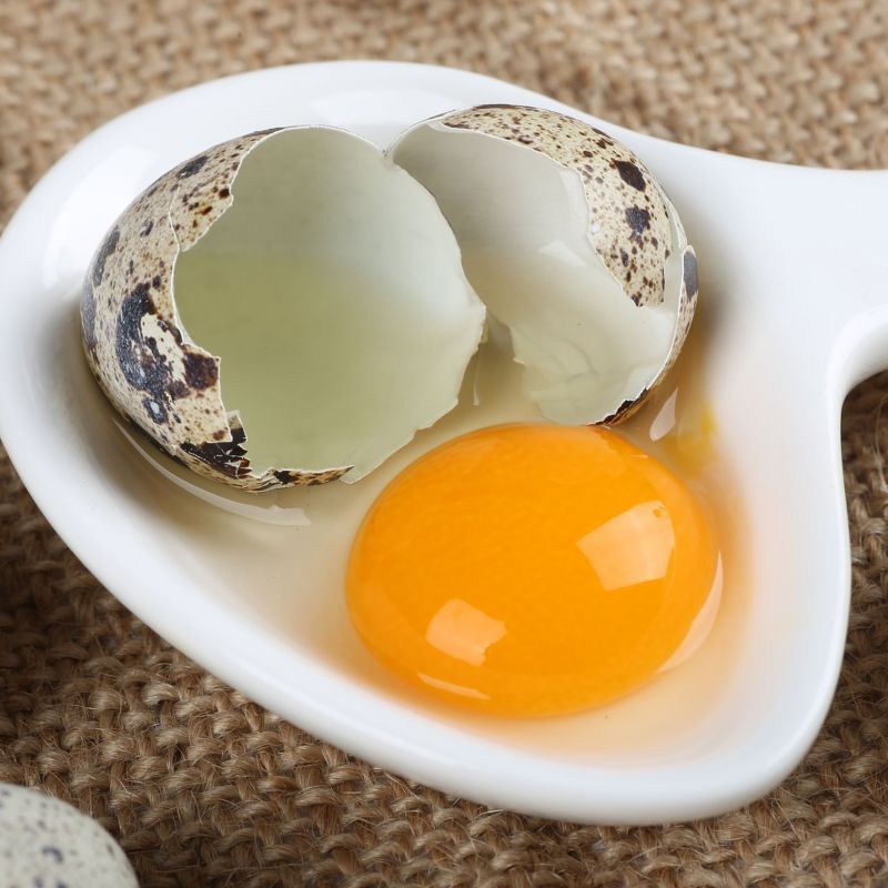 神丹 鹌鹑鲜蛋（7g*50枚）*2盒