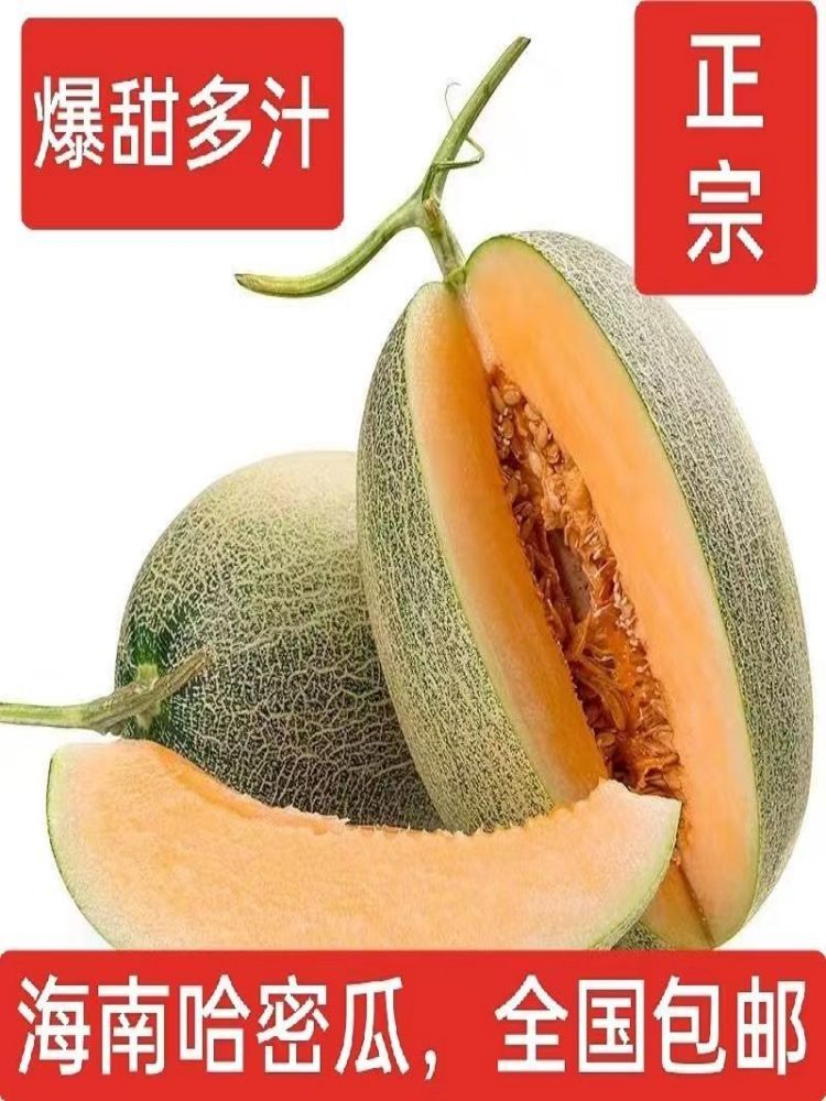 新鲜海南哈密瓜（晓蜜25号)净重4.5-5斤（1-3个）·统一