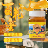 共同