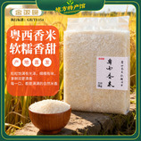 共同