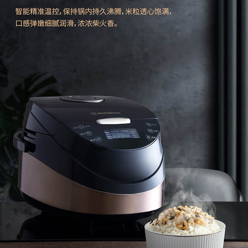 西屋westinghouse多功能电饭煲wrc0431黑色