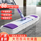 共同