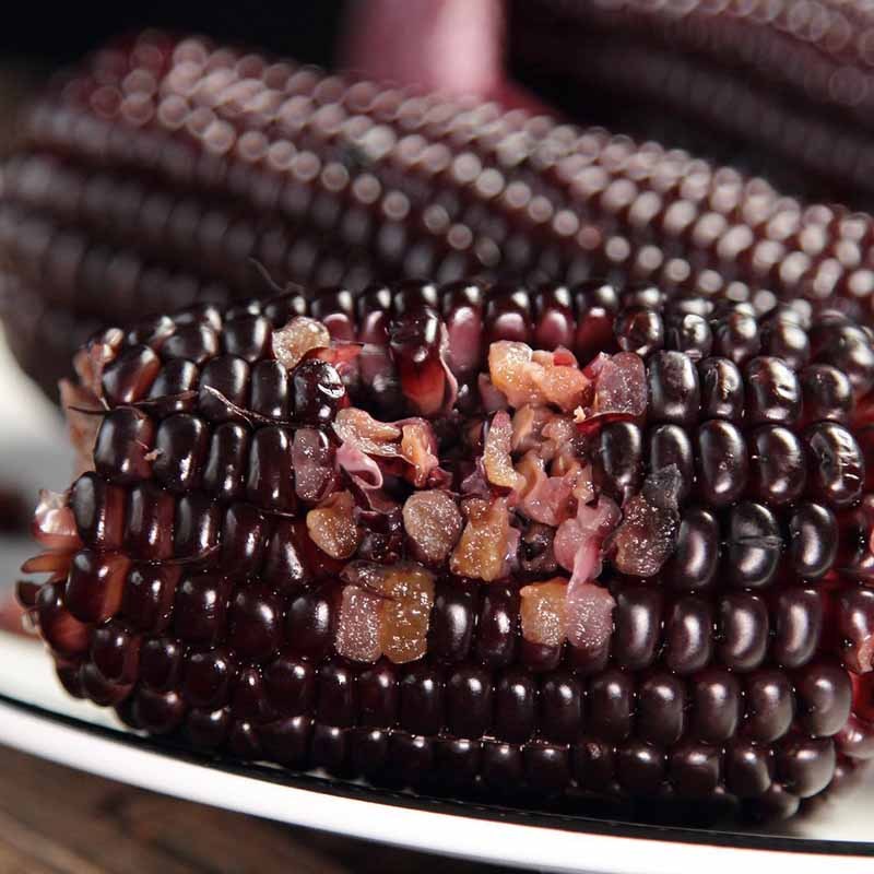 糯西西黑珍珠玉米220克8根