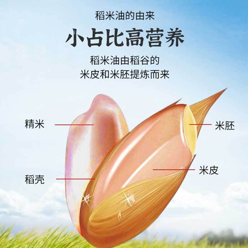 红米胚芽稻米油500ml18瓶