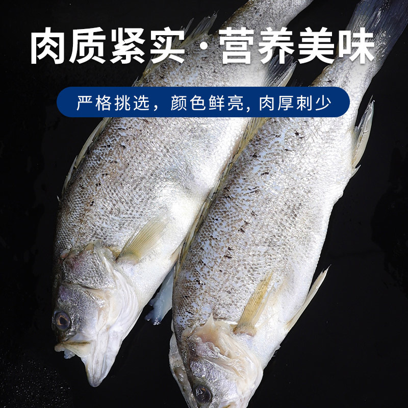 【顺丰冷链】3条海鲈鱼600-700g