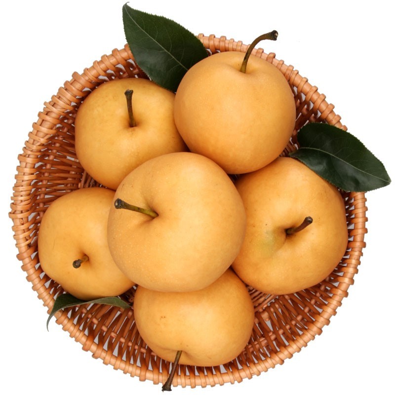 金秋梨净重4.8-5.2斤,约6-9个果
